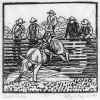 BullRider.jpg (340523 bytes)