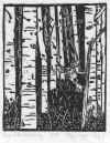 Look_Whos_Watching.jpg (114497 bytes)