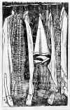 WellSuited.jpg (67567 bytes)